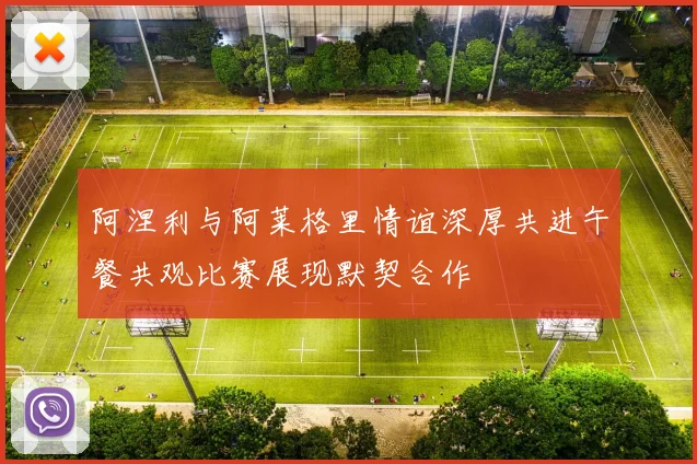 阿涅利与阿莱格里情谊深厚共进午餐共观比赛展现默契合作
