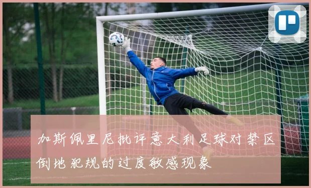加斯佩里尼批评意大利足球对禁区倒地犯规的过度敏感现象